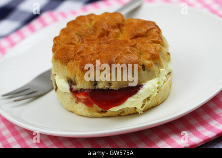 Hausgemachte englischen Scone mit traditionellen Clotted Cream und Erdbeermarmelade auf weißen Teller, Nahaufnahme Stockfoto