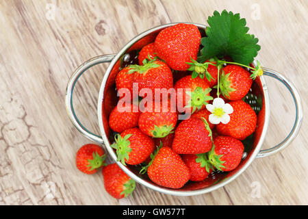 Frische Erdbeeren in Sieb auf Holzuntergrund Stockfoto