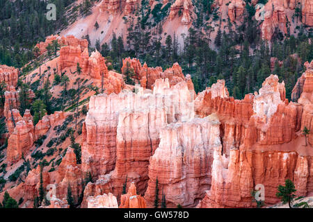 Malerische Aussicht des Bryce Canyon Stockfoto