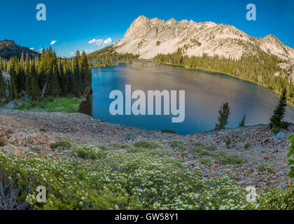 Idaho Bergsee mit Wildblumen und Wald Stockfoto