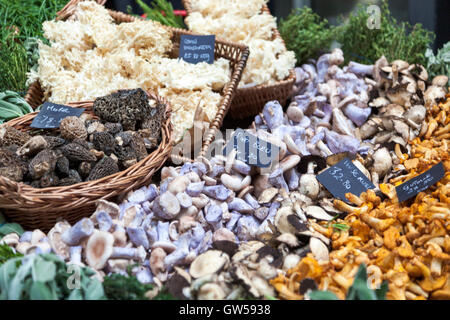 Pilze an einem Marktstand (Borough Market, London, UK) angezeigt Stockfoto