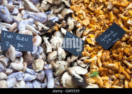 Pilze an einem Marktstand (Borough Market, London, UK) angezeigt Stockfoto