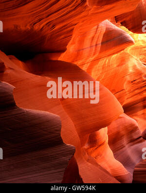 Slot Canyon, Antelope Canyon, Navajo Nation, Arizona USA, durch Willard Clay/Dembinsky Foto Assoc Stockfoto