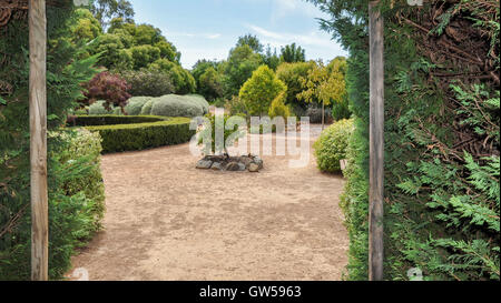 Blick durch Hedge-Labyrinth-Ausfahrt in Richtung des gepflegten botanischen Gartens auf Amaze'n Margaret River in Western Australia. Stockfoto