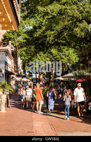 Historische Fußgängerzone Downtown Mall, East Main Street, Charlottesville, Virginia Stockfoto