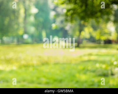 Grüne Blätter mit Bokeh zu verwischen Stockfoto