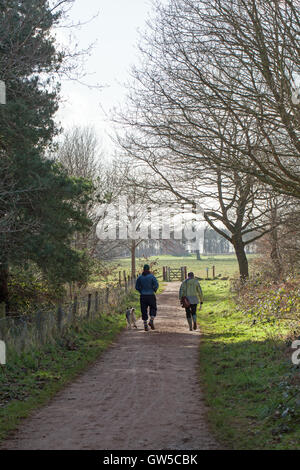 Hundewiesen. Norfolk-Landschaft. Winter. Stockfoto