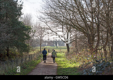 Hundewiesen. North Norfolk Landschaft. England. VEREINIGTES KÖNIGREICH. Stockfoto