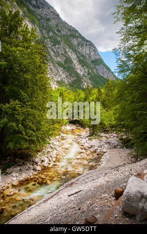 Wasserfall Savica, Slowenien Stockfoto