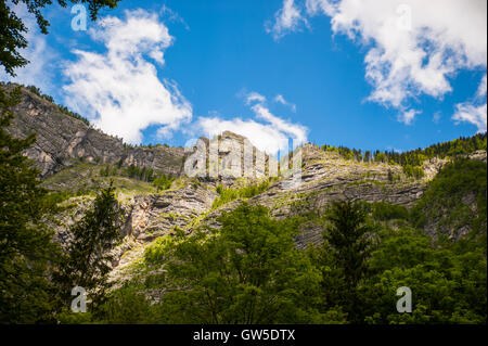 Wasserfall Savica, Slowenien Stockfoto