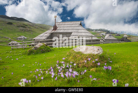 Velika Planina Berg, Touristenattraktion und Zielländern, Slowenien Stockfoto