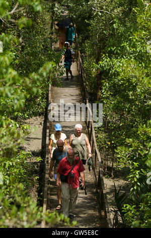 Touristen gehen auf den hölzernen Spuren Harbaria Eco Tourism Centre in den Sundarbans, ein UNESCO-Weltkulturerbe und eine Tier-und Pflanzenwelt Stockfoto