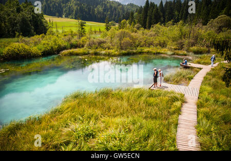 Sava Frühling, Zelenci, Slowenien Stockfoto