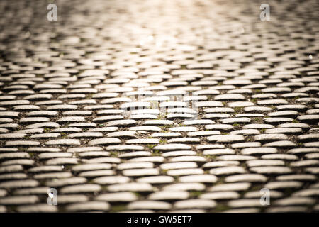 Nahaufnahme der gepflasterte Straße in Gamla Stan, Stockholm, Schweden, Skandinavien, Europa. Stockfoto