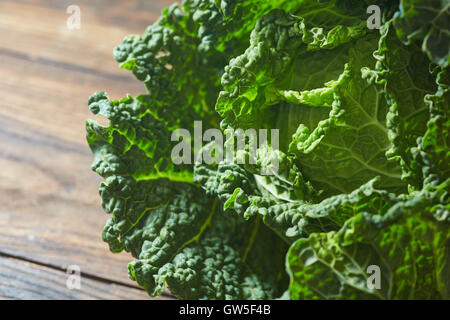 Savoy Cabbage Supernahrung hautnah. Stockfoto