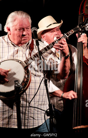 Bluegrass-Band bei Krazy Fisch Stockfoto