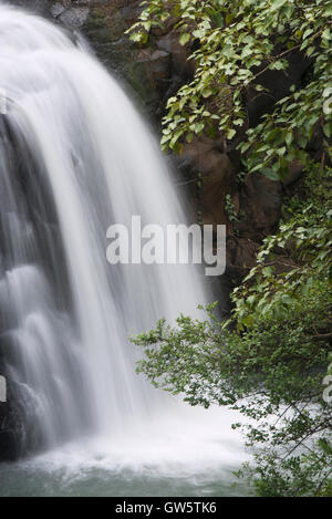 Das Bild der Wasserfall in Bhandardara, Maharashtra, Western Ghats, Monsun, Indien Stockfoto