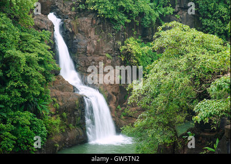 Das Bild der Wasserfall in Bhandardara, Maharashtra, Western Ghats, Monsun, Indien Stockfoto