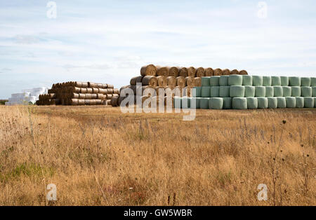 Strohballen auf Ackerland im Südwesten Frankreichs gestapelt Stockfoto