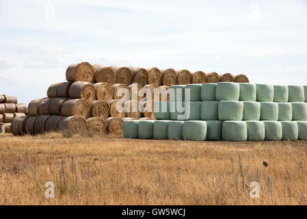 Strohballen auf Ackerland im Südwesten Frankreichs gestapelt Stockfoto