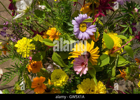 Bouquet aus bunten Wildblumen Stockfoto