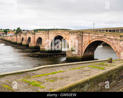 Die alten Multi gewölbt Straßenbrücke über den Fluss Tweed in Berwick, erbaut um 1600, trägt nur in Richtung Süden Verkehr. Stockfoto