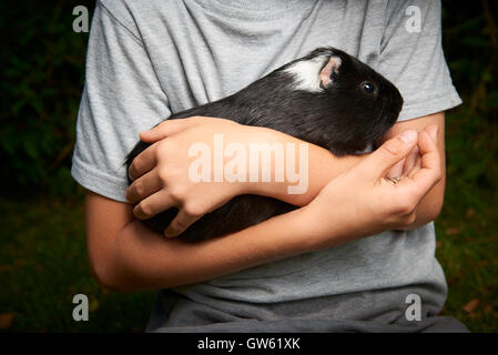 Kind junge hält ein Meerschweinchen Stockfoto