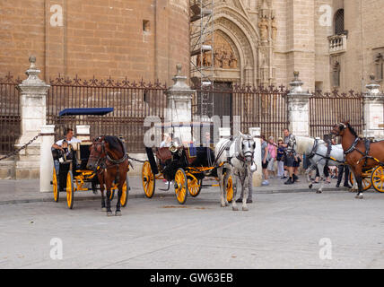 Sevilla Spanien. Pferdekutsche vor der Kathedrale von Giralda, die auf Gäste wartet, Sevilla, Andalusien, Spanien. Stockfoto