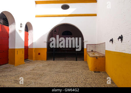 Outdoor-Stallungen der Stierkampfarena, Plaza de Toros, La Maestranza, Sevilla, Andalusien, Spanien. Stockfoto