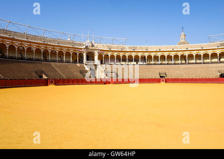 La Maestranza Stierkampfarena in Sevilla, Andalusien, Spanien. Stockfoto