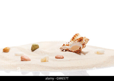 Muschel und Meer Steinen am Strand Sandhaufen, isoliert auf weißem Hintergrund Stockfoto