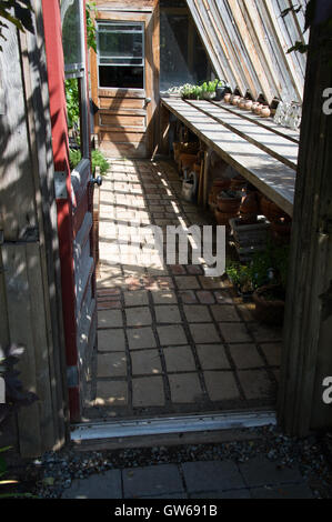 Gewächshaus, rustikale Gewächshaus, Pflanzen, wachsen, Stockfoto