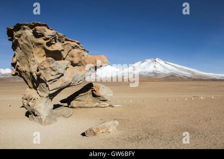 Felsformation in Uyuni, Bolivien bekannt als Arbol de Piedra Stockfoto