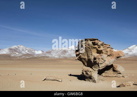 Felsformation in Uyuni, Bolivien bekannt als Arbol de Piedra Stockfoto