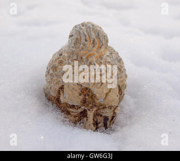 Statue den Kopf im Schnee Stockfoto