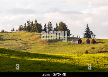 Atemberaubende Landschaft, der idyllische Landschaft mit sanften Hügeln, die im Morgennebel verschleiert. Luftaufnahme von einem Hügel Bauernhaus auf einem nebligen s Stockfoto