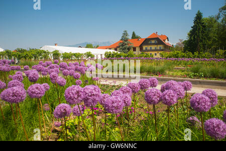 Botanischer Garten Volcji Potok, Arboretum, Kamnik, Slowenien Stockfoto
