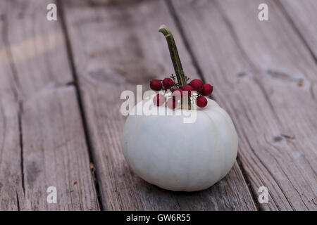 Weiße Casper Kürbis mit roten Beeren auf einem rustikalen Holz Picknicktisch im Herbst. Stockfoto