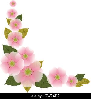 Sakura Blumen Hintergrund Stock Vektor