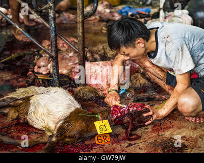 Bangkok, Bangkok, Thailand. 12. Sep, 2016. Ein Mann tötet einen Widder während Qurbani (rituelle Opferung von Tieren) bei der Feier des Eid al-Adha in Haroon Moschee in Bangkok. Eid al-Adha nennt man auch das Opferfest, das größere Eid oder Baqar-Eid. Es ist das zweite von zwei religiöse Feiertage von Moslems weltweit jedes Jahr gefeiert. Es ehrt die Bereitschaft Abrahams, seinen Sohn als einen Akt der Unterwerfung unter das Gebot Gottes zu opfern. Ziegen, Schafe und Kühe werden nach dem Gottesdienst in der Moschee in ritueller Weise geopfert. Stockfoto