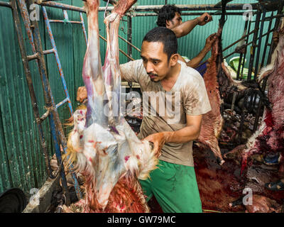 Bangkok, Bangkok, Thailand. 12. Sep, 2016. Frisch geopferten Ziegen und Böcke sind gehäutet und gereinigt während Qurbani (rituelle Opferung von Tieren) bei der Feier des Eid al-Adha in Haroon Moschee in Bangkok. Eid al-Adha nennt man auch das Opferfest, das größere Eid oder Baqar-Eid. Es ist das zweite von zwei religiöse Feiertage von Moslems weltweit jedes Jahr gefeiert. Es ehrt die Bereitschaft Abrahams, seinen Sohn als einen Akt der Unterwerfung unter das Gebot Gottes zu opfern. Ziegen, Schafe und Kühe werden nach dem Gottesdienst in der Moschee in ritueller Weise geopfert. Stockfoto