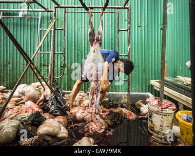 Bangkok, Bangkok, Thailand. 12. Sep, 2016. Frisch geopferten Ziegen und Böcke sind gehäutet und gereinigt während Qurbani (rituelle Opferung von Tieren) bei der Feier des Eid al-Adha in Haroon Moschee in Bangkok. Eid al-Adha nennt man auch das Opferfest, das größere Eid oder Baqar-Eid. Es ist das zweite von zwei religiöse Feiertage von Moslems weltweit jedes Jahr gefeiert. Es ehrt die Bereitschaft Abrahams, seinen Sohn als einen Akt der Unterwerfung unter das Gebot Gottes zu opfern. Ziegen, Schafe und Kühe werden nach dem Gottesdienst in der Moschee in ritueller Weise geopfert. Stockfoto