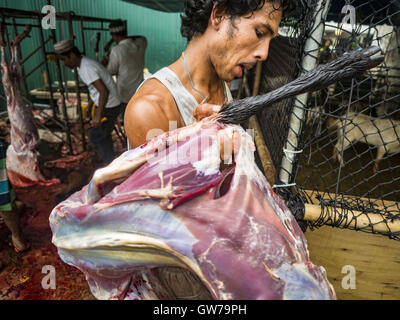 Bangkok, Bangkok, Thailand. 12. Sep, 2016. Ein Mann trägt eine gereinigte Ziege Karkasse, die Metzger nach Qurbani (rituelle Opferung von Tieren) bei der Feier des Eid al-Adha in Haroon Moschee in Bangkok. Eid al-Adha nennt man auch das Opferfest, das größere Eid oder Baqar-Eid. Es ist das zweite von zwei religiöse Feiertage von Moslems weltweit jedes Jahr gefeiert. Es ehrt die Bereitschaft Abrahams, seinen Sohn als einen Akt der Unterwerfung unter das Gebot Gottes zu opfern. Ziegen, Schafe und Kühe werden nach dem Gottesdienst in der Moschee in ritueller Weise geopfert. Stockfoto