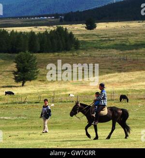 Hami, Hami, China. 13. Sep, 2016. Hami, CHINA-? 20. August 2016:? (REDAKTION? VERWENDEN SIE? NUR.? CHINA? RAUS) Barkol Grünland ist befindet sich im nordöstlichen Teil von Xinjiang Uygur Autonome Region, ein wichtiger Bestandteil der Welt Erbe Xinjiang himmlische Berge und die zweitgrößte Grünland im Nordwesten ChinaÂ¡Â¯s Xinjiang. Barkol spielt eine wichtige Rolle in Nord-Route der Seidenstraße. © SIPA Asien/ZUMA Draht/Alamy Live-Nachrichten Stockfoto