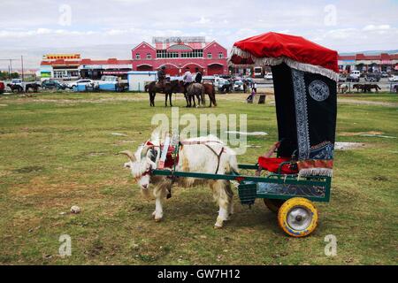 Hami, Hami, China. 13. Sep, 2016. Hami, CHINA-? 20. August 2016:? (REDAKTION? VERWENDEN SIE? NUR.? CHINA? RAUS) Barkol Grünland ist befindet sich im nordöstlichen Teil von Xinjiang Uygur Autonome Region, ein wichtiger Bestandteil der Welt Erbe Xinjiang himmlische Berge und die zweitgrößte Grünland im Nordwesten ChinaÂ¡Â¯s Xinjiang. Barkol spielt eine wichtige Rolle in Nord-Route der Seidenstraße. © SIPA Asien/ZUMA Draht/Alamy Live-Nachrichten Stockfoto