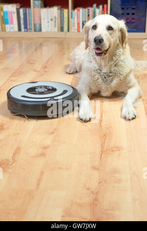 Golden Retriever Hund ist neben der Roboter-Staubsauger auf dem Boden liegend. Stockfoto