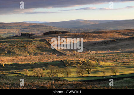 Blick nach Süden in Richtung North Pennines, im Laufe der "Vallum", in der Nähe von Milecastle 44, Hadrianswall, Northumberland Stockfoto