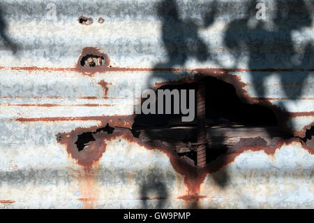 Distressed gewellte Wand mit verrosteten Loch und Schatten aus einem nahe gelegenen Baum. Stockfoto