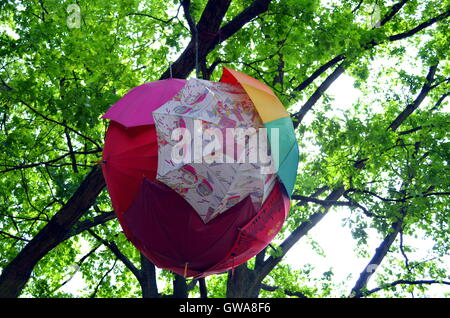 Reihe von bunten Sonnenschirmen auf einem Baum Stockfoto