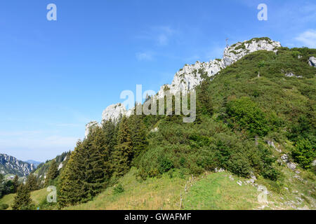Chiemgauer Alpen, Chiemgauer Alpen: Berg Krampenwand, Deutschland, Bayern, Bayern, Oberbayern, Chiemgau, Oberbayern Stockfoto